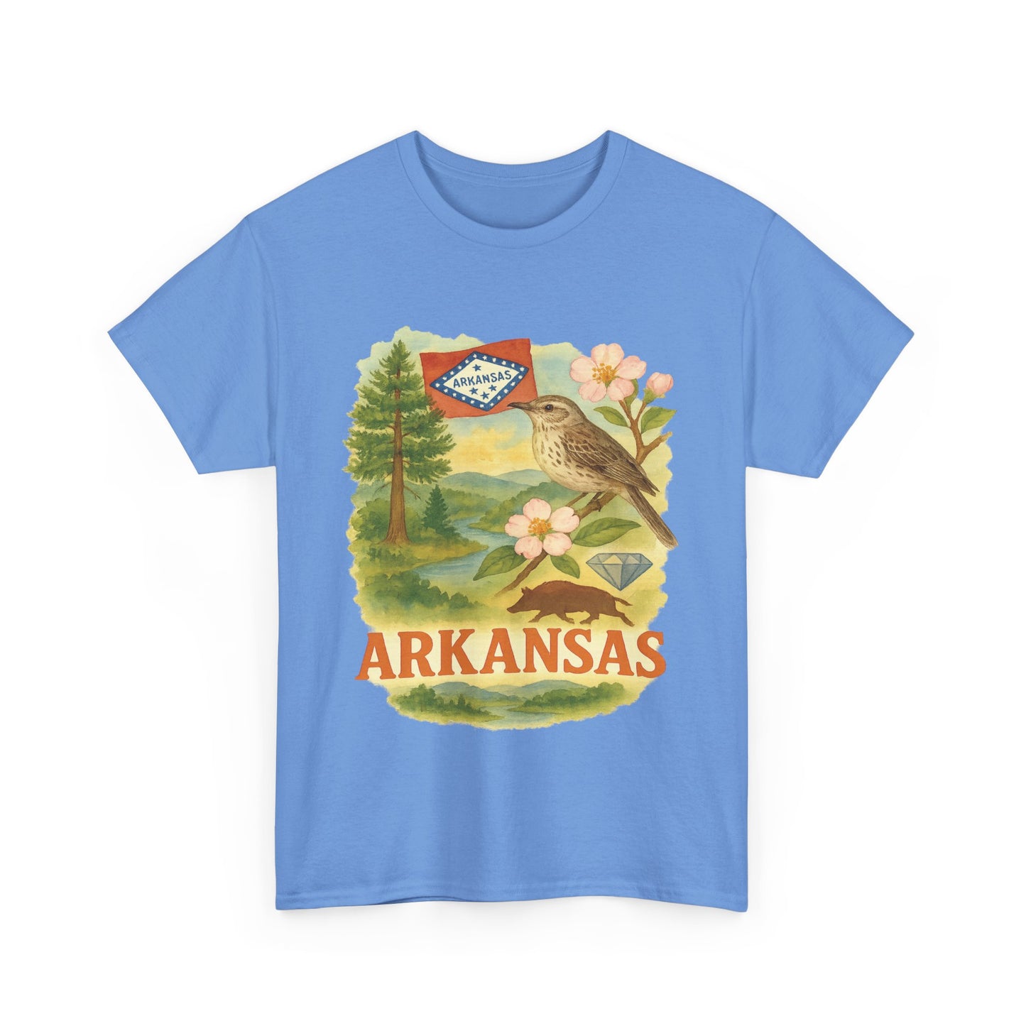 Arkansas Arcadia Tee