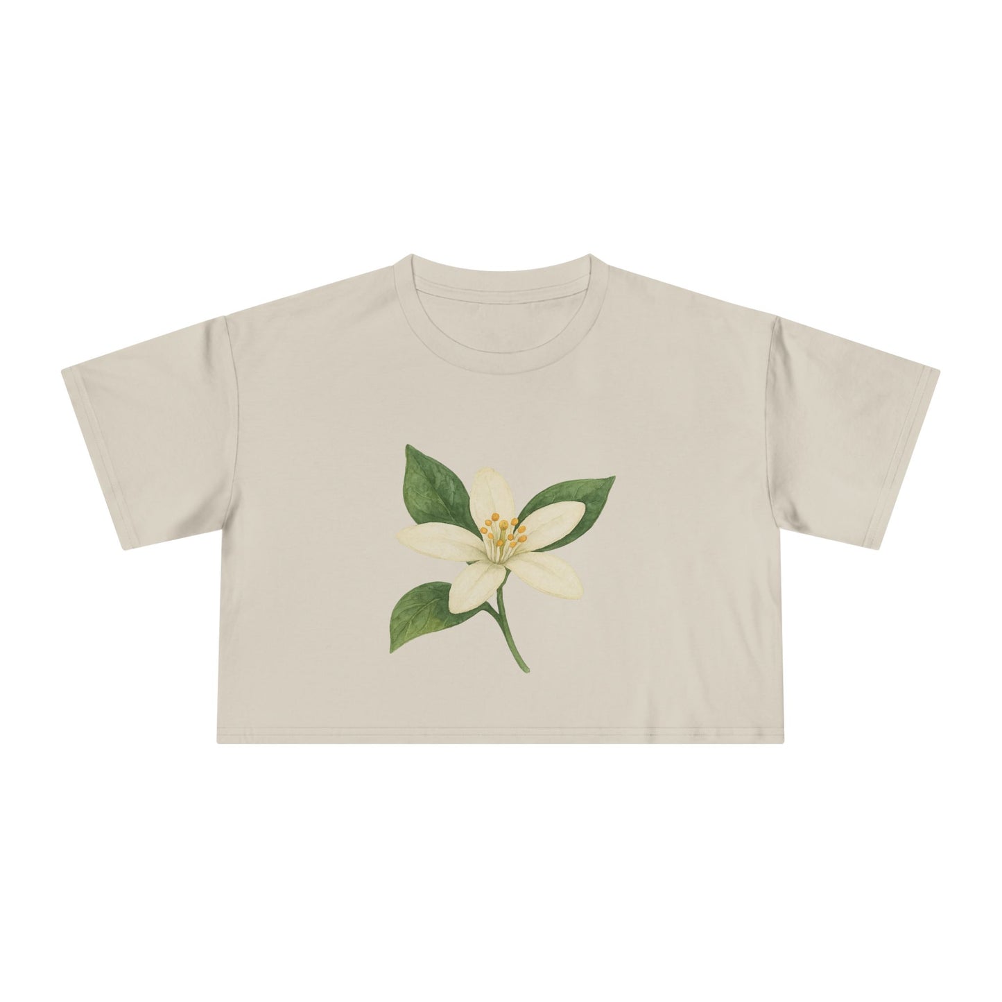 Florida Petals Crop Top