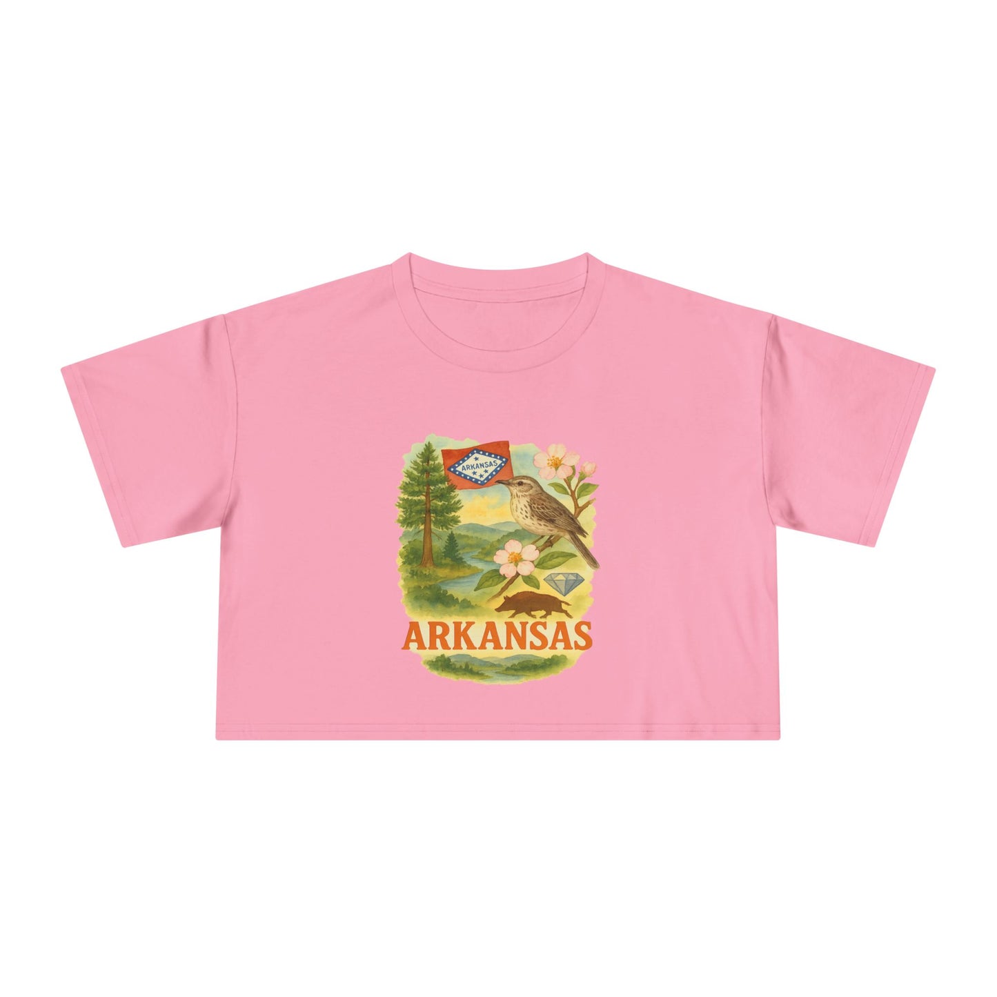 Arkansas Arcadia Crop