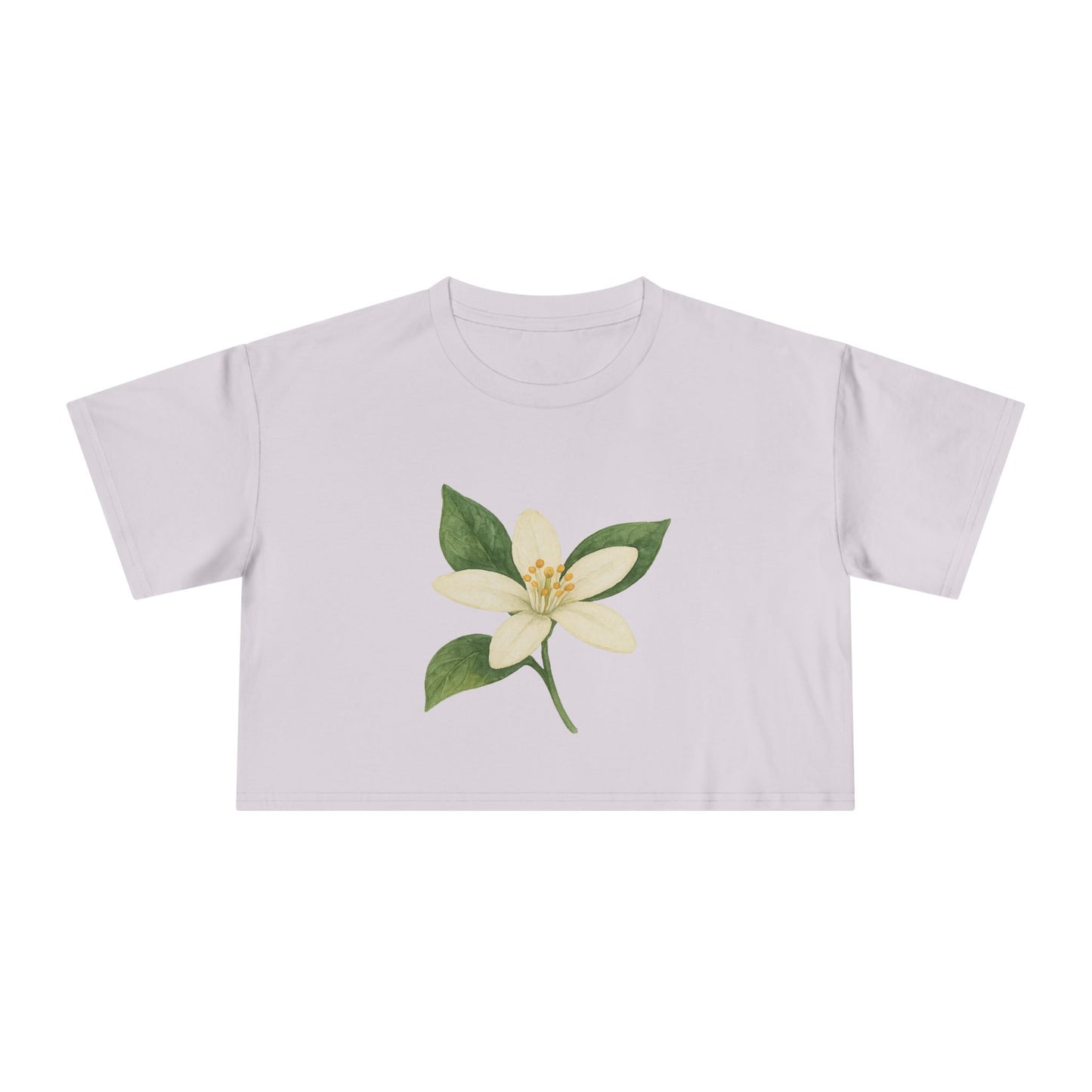 Florida Petals Crop Top
